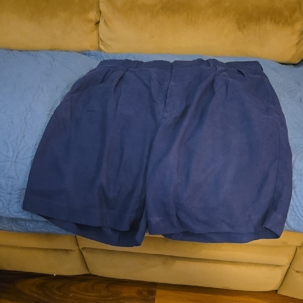 Polo By Ralph Lauren Men's Blue Casual Shorts, EUC